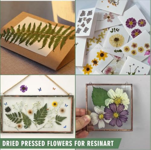 220 Pcs Dried Pressed Flowers for Resin Crafts, Real Natural Pressed Flowers and Leaves Kit Butterfly Stickers Vacuum Sealed Dry Flowers for DIY Epoxy Resin Jewelry Molds, Candle Soap Making, Nail Art