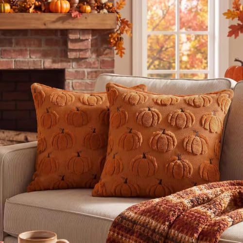Softalker Fall Throw Pillow Covers 20x20 Set of 2 Rust Plush Pumpkin Covers