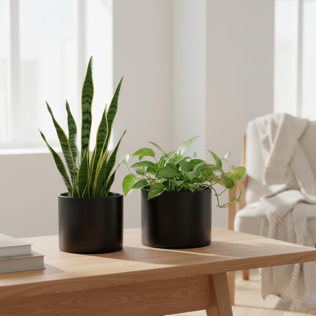 Nihow Ceramic Plant Pots with Drainage for Indoor Plants, 5 & 7 Inch,Black | Cylinder Shape, For Indoor Plants