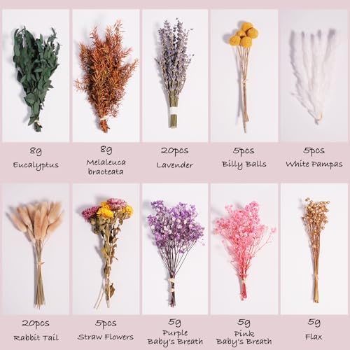 10 Kinds Natural Dried Flower Set, Bulk Dried Flowers for Vase,Mini Dried Flower Bouquets,Dried Flowers with Stems for DIY Crafts, Vase Decor,Home/Wedding/Birthday Decor(7.9-9.84in Flexible Stems)