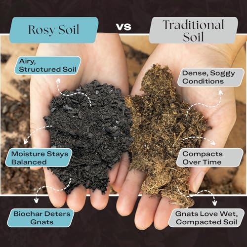 Rosy Soil Cactus and Succulent Potting Soil Mix (4 qts) + Indoor Potting Soil (8 qts) - Peat Free House Plant Soil