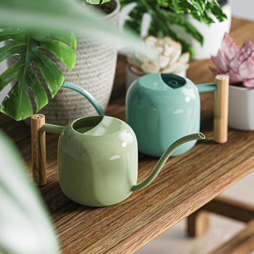 Green Moon 1.2L/41oz Metal Metal Watering Can with Long Spout, Mint Green