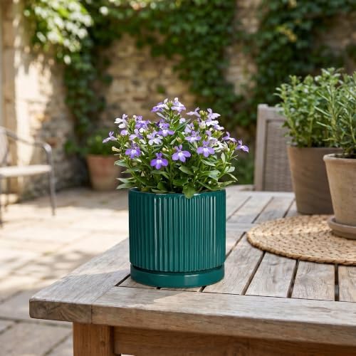 4 Inch Ceramic Pots for Plants, Plant Pots with Tray, Blackish Green