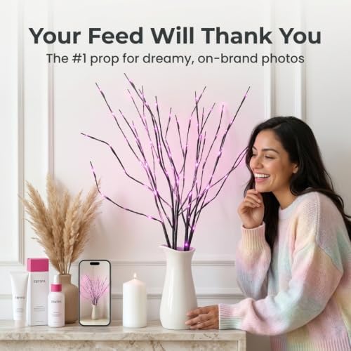 DK177 2Pack Led Branch Light Battery Operated Lighted Branch Vase Filler Willow Tree Artificial Little Twig Power Brown 30 Inch 20 LED for Home Romantic Decoration, 2Pack Redlight