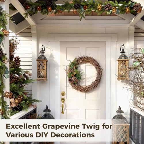 6 Pcs Grapevine Wreath 10 inch - DIY Crafts Natural Grapevine Twig Vines, Vines Garland Wreaths for Wedding House Holiday Door Vase Wall Decor