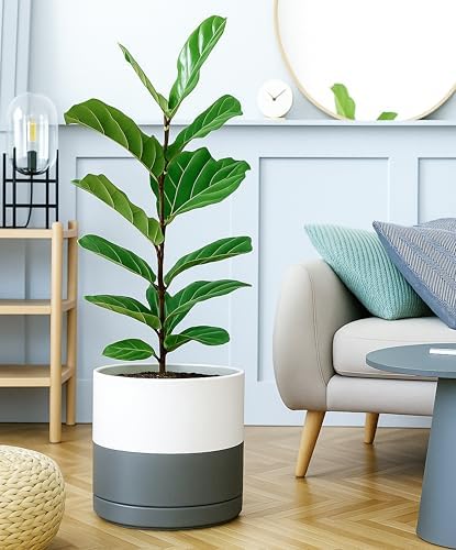 D'vine Dev 12 Inch Ceramic Planter Pot, White/Grey, 94-O-F-6