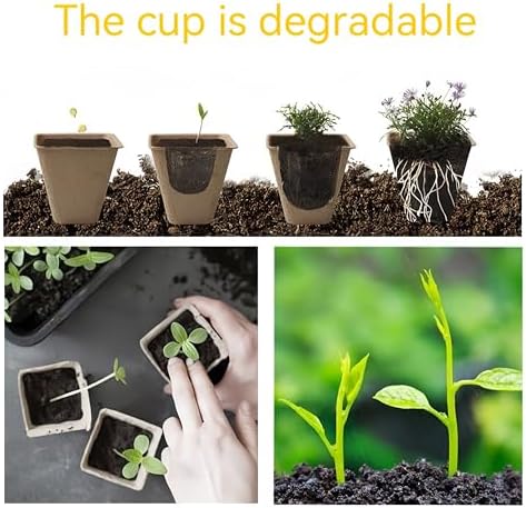 240 Cells Seed Starter Tray, 24 Pack Biodegradable Peat Pots, Seed Starter Kit for Seedlings with 24 Labels