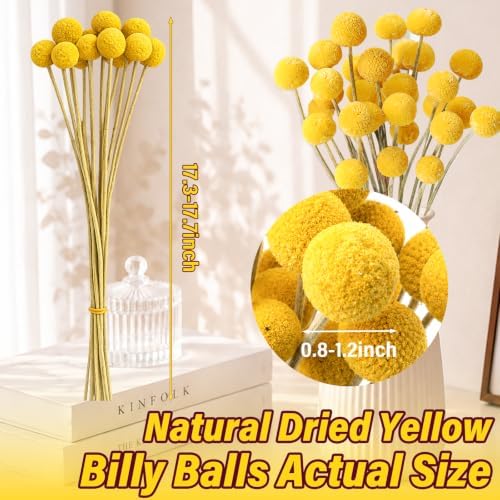 30PCS Dried Billy Balls Flowers for Flower Arrangements & Wedding Decor
