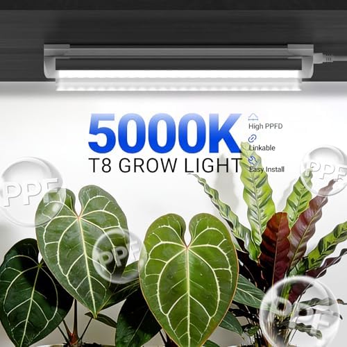 Barrina T8 Grow Lights for Indoor Plants, 5000K Full Spectrum, 1FT, 4 Packs