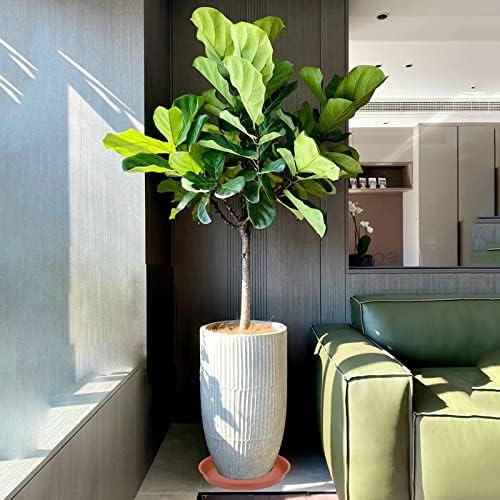 4 Pack Plant Saucer, 13 14 16 18 inch Heavy Duty Plastic Plant Saucer Round, Plant Tray for Pots, Flower Plant Saucers