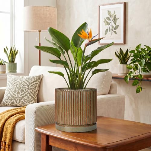 Ceramic Plant Pots, 8 Inch Planter, Round Plant Pot, Retro Brown