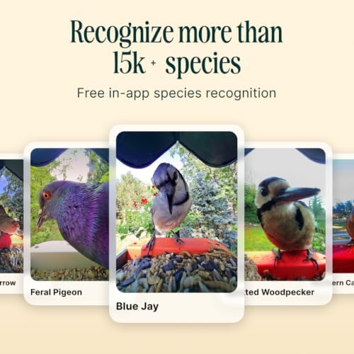 Birdbuddy Pro Solar Smart Bird Feeder with Camera, AI Bird ID, 2K Video