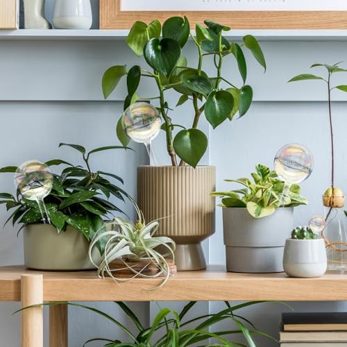 6PCS Plant Watering Globes,Iridescent Rainbow Clear Watering Bulbs,Glass Self Watering Planter Insert,Watering Bulbs for Flowerpot,Indoor,Outdoor,Hanging Plants Home Garden(3 Large+3 Small)