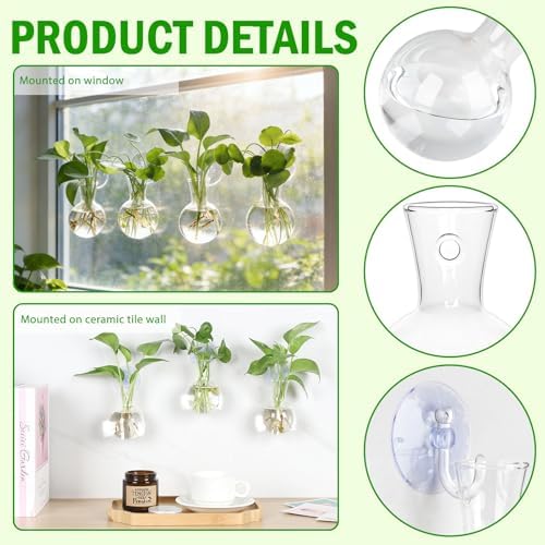 Bunmery 6 pcs Window Propagation Stations, Easy to Install Plant Propagation Bulbs with Suckion Cups, No Nails Wall Hanging Planter Propagation Station, Glass Plant Terrarium Vase