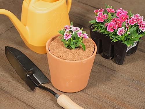 Envelor 4 in Coconut Fiber Mulch Ring 20 Pack, Plant Protector Mat