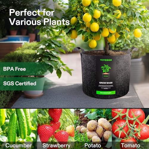 VIVOSUN 2 Pack 45 Gallon Grow Bag, Fabric Pot with Handles for Vegtables and Plants