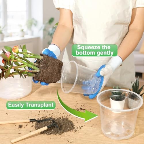 8 Inch Clear Nursery Pots with Drainage Holes, 10 Pack Large Plastic Pots for Plants, Seedling Starter Pot, Garden Plant Pots for Succulents Flowers Cactus