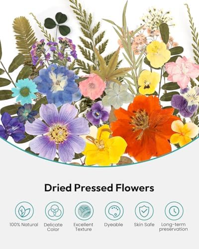 Resiners 100Pcs Dried Flowers, Pressed Flowers for Craft(Retro Style)
