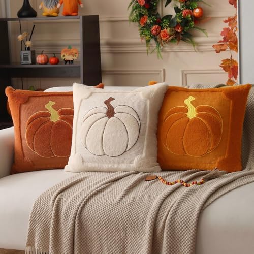 Allorry Fall Pillow Covers 18x18 2 Pack Beige Pumpkin Home Decor PT010A18