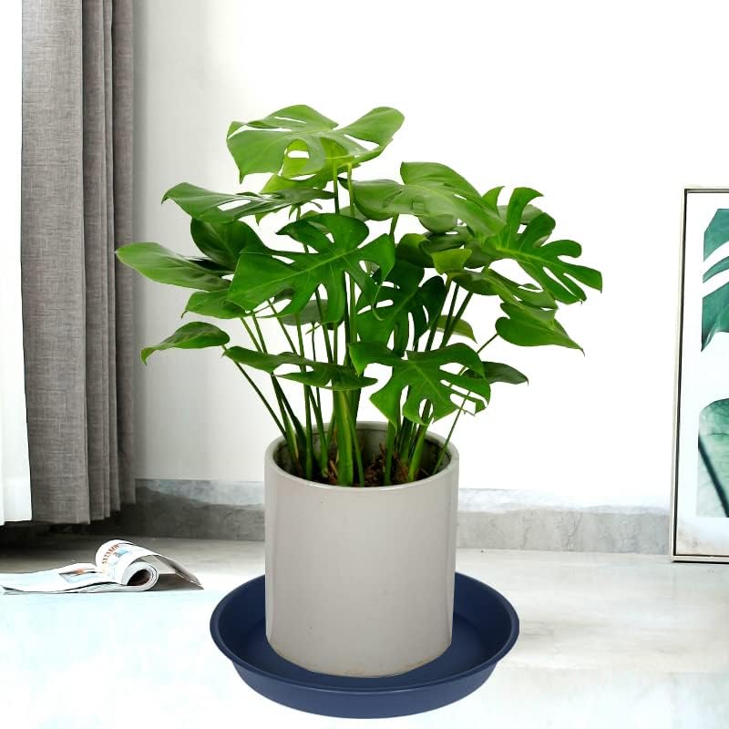 3 Pack of 20 22 inch Plant Saucer (19.2 Inch Base), 3.6" Depth Tray, Large Deep Garden Plastic Flower Planter Plant Trays for Indoors Outdoor Bath Bath (22", Blue)