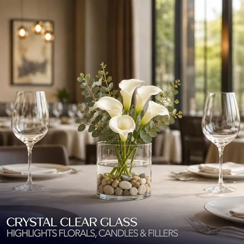 Royal Imports Glass Cylinder Flower Vase Cylinder Shape, 5"x5", Clear