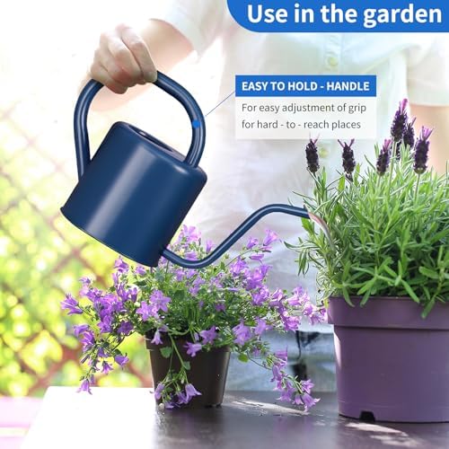 Watering Can, Stainless Steel Watering Can for Indoor & Outdoor Plants, 1L/35oz Long Spout Water Can with Handle, Rust-Proof Plant Watering Pot for House Plants, Garden Flowers