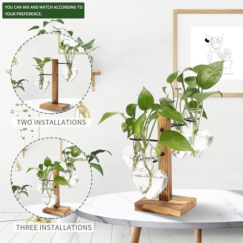 Plant Terrarium Propagation Stations with Wooden Stand