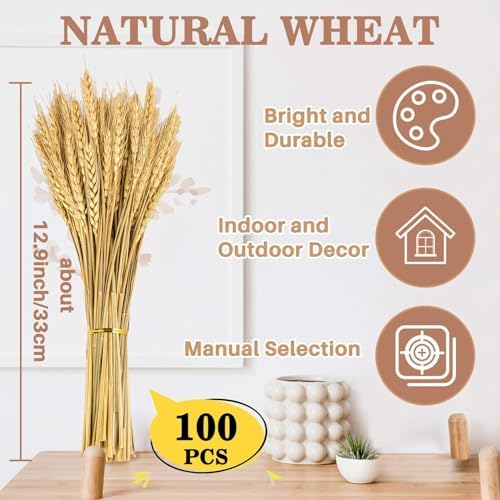Sukh 100 Stems Dried Wheat Stalks - Boho Fall Decor for Home & Wedding
