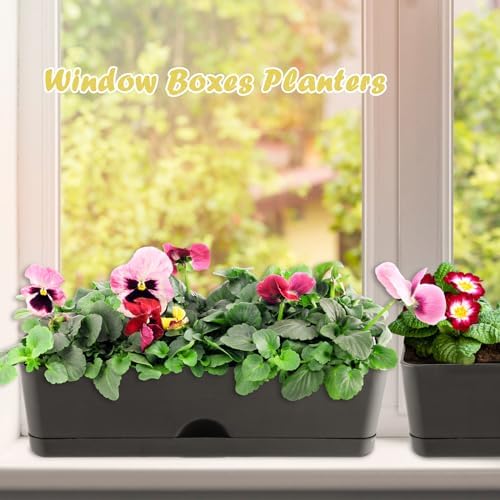 2-Pack Window Boxes Planters 16 Inch Rectangle Plant Box Rectangular Planters for Outdoor and Indoor Plants Plastic Windowsill Planter for Herbs Vegetable Flowers Long Window Sill Planters
