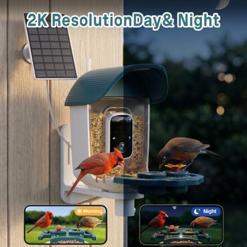 Bird Feeder with Camera Solar Powered, 2K HD Birds Feeder Camera for Outdoors, Instant Motion Detection & Alerts, AI Smart Identify Birds Species, Gifts for Mom Dad and Bird-Lovers(Cyan-Blue)