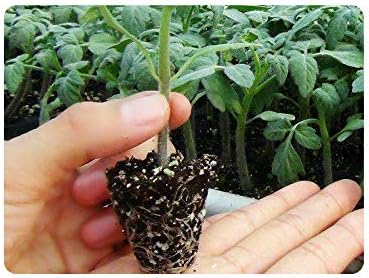 RooTrimmer 10 Pack 200 Cell Seed Starter Trays- Thick Durable Plastic Nursery Flats with Drainage Holes for Seedlings
