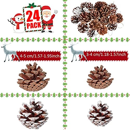 Syhood 24 Pcs Christmas Pine Cone Ornaments with String, White, Natural