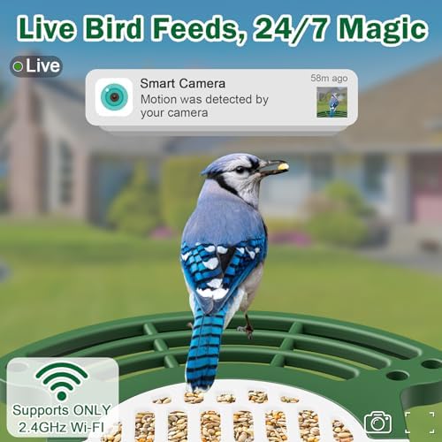 Smart Bird Feeder with Camera, Solar 2K AI Identification, Green