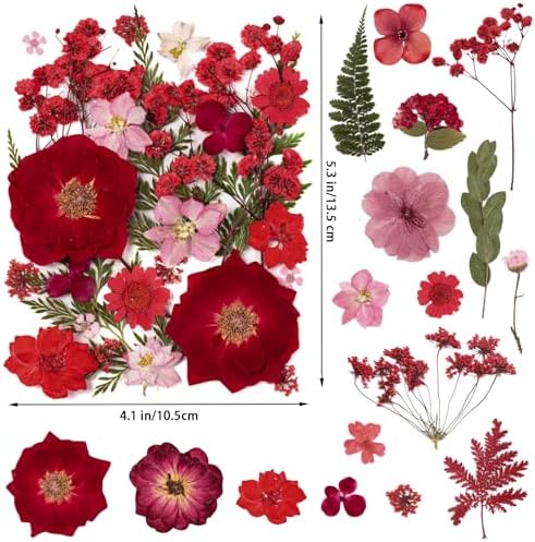 101 PCS Red Dried Pressed Flowers for Christmas Crafts Resin, Red Real Nature Flowers Bulk for DIY Holiday Cake Card Scrapbook Supplies, Large Dried Flowers for Soap Candle Making