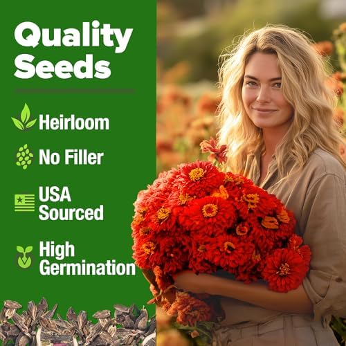 HOME GROWN Zinnia Seeds, Will Rogers, 150 Seeds, Zinnia elegans
