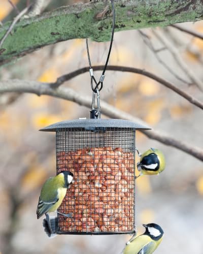 Bird Feeder Hanging Cable with Carabiner Hooks, Rust-Resistant Stainless Steel PVC Coated Wire Rope Chain for Tree Outdoor Garden Backyard Decor, 4 Pack 18 Inch