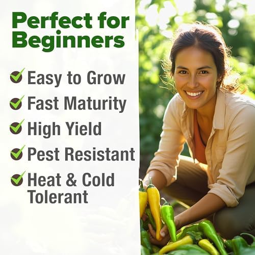 HOME GROWN Banana Pepper Seeds, 94+ Seeds, Capsicum annuum