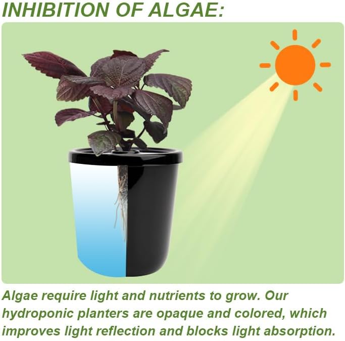 Kratky Method Hydroponic Planter Kit, 8 Hydroponic Planter Plus 24 Growing Sponges for Herbs, Hydroponic Mini Buckets