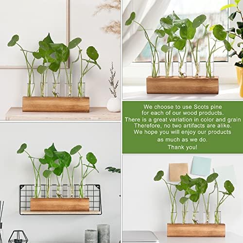 YIBOT Plant Propagation Station, Plant Terrarium with Wooden Stand