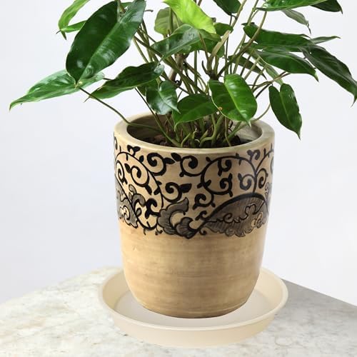 2 Pack of Bird Bath Bowl 12", 1.6" Depth, 10 12 inch Birdbath Bowls Dish Only for The Garden, Large Plant Saucer (12", Beige)