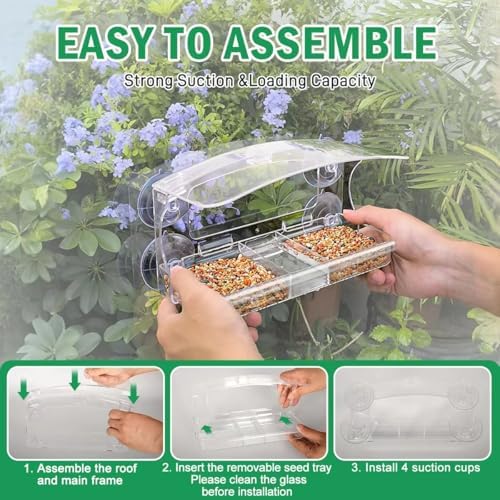 Window Bird Feeder with 4 Strong Suction Cups