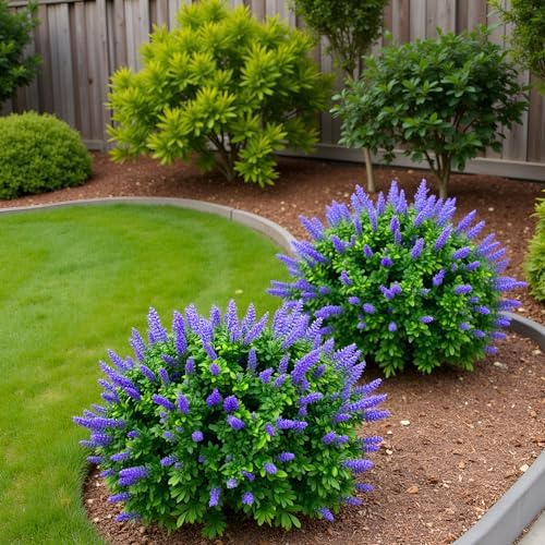 27.55'' Artificial Lavender Topiary Trees, 2 Sets Faux Boxwood Topiary with Spikes,Fake Shrubs Plants for Outdoor Planters, UV Resistant Round Topiary Bush Pot Filler for Front Porch Garden Home Decor