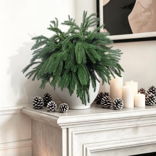 Rowfad 24 Pcs Artificial Norfolk Pine Branches Faux Christmas Stems (24)