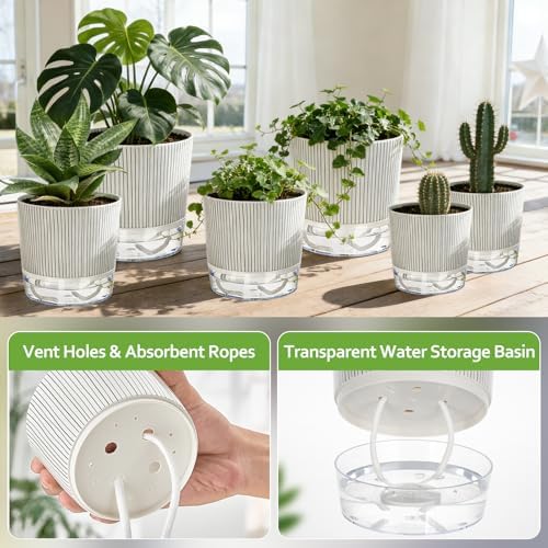 6 Pack Self Watering Pots for Indoor Plants, 4/5.5/6.3 Inch Flower Pots