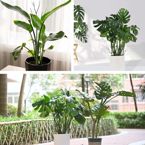Yhtpouqe 9 Pack Green Plant Support Stakes Plant Stakes for Indoor and Outdoor Plants. 39.37inch Plant Sticks with Extension Poles, Plant Clips,Plant Ties for Potted Monstera Plants, Climbing Plants