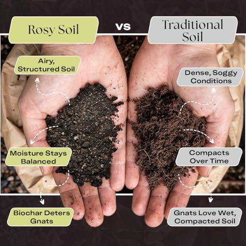 Rosy Soil Aroid Soil Mix, Chunky Biochar Potting Mix, 4 Quarts
