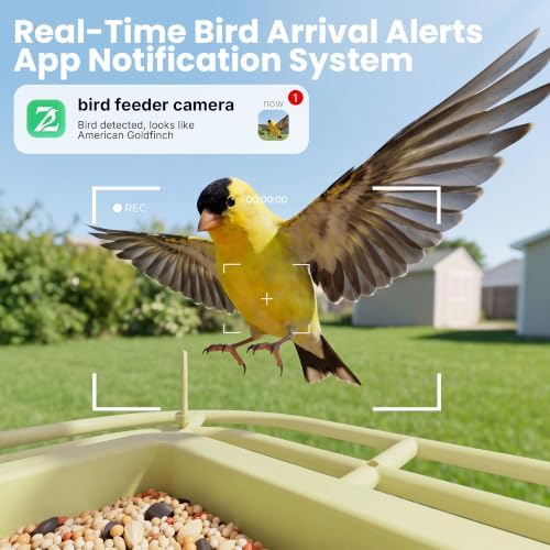 Smart Bird Feeder with 2K HD Camera -Solar Powered,AI Identify Bird Species