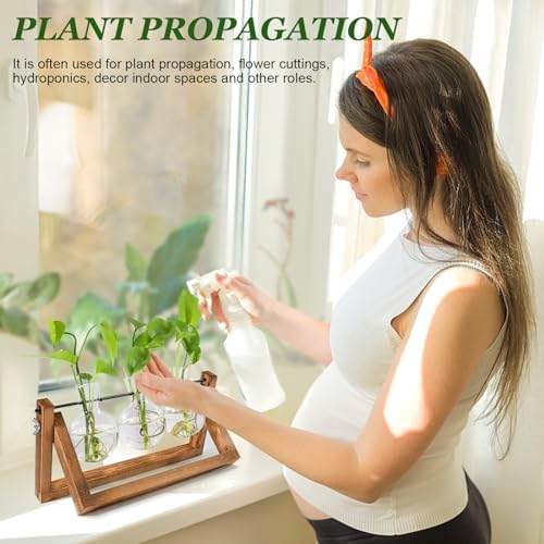 Renmxj Plant Propagation Station, Plant Terrarium with Wooden Stand