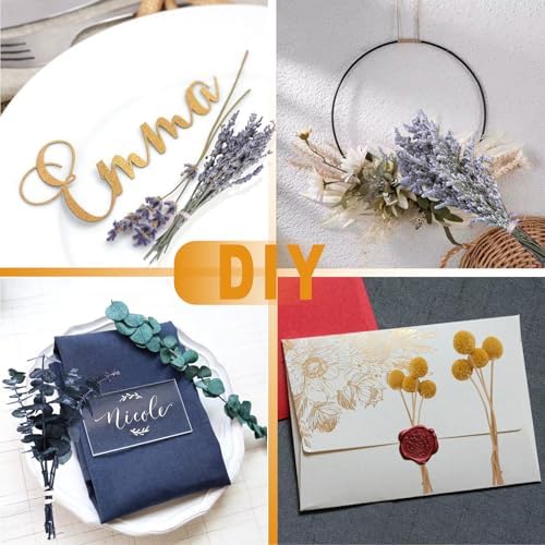 130Pcs Dried Flower Set, 12 Mixed Flowers for Floral Crafts & DIY Decor