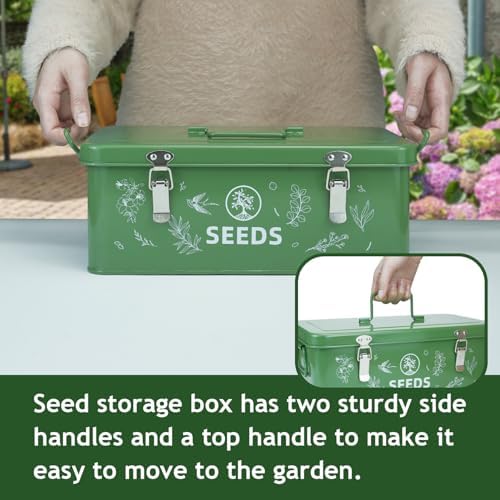 Seed Storage Organizer Box, 4 Compartments, Lockable, Dark Green
